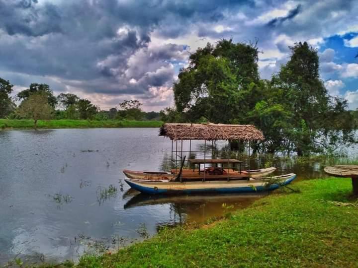The Lake Breeze Home stay Habarana Buitenkant foto