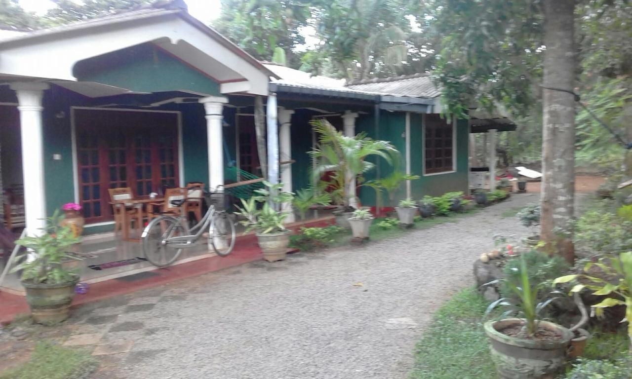 The Lake Breeze Home stay Habarana Buitenkant foto